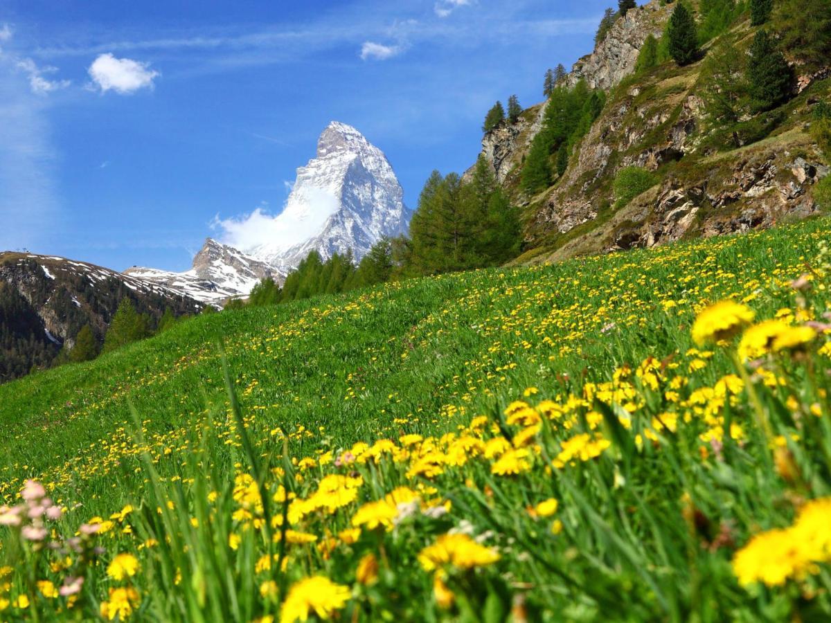Apartment Imperial-10 By Interhome Zermatt Exterior foto